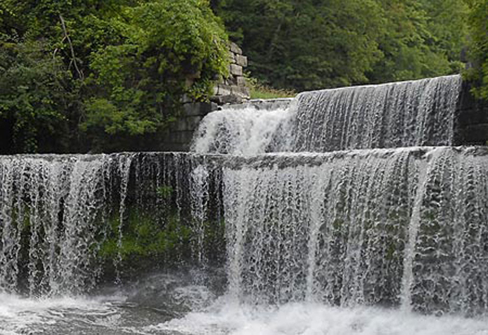 waterfalls and forest photography