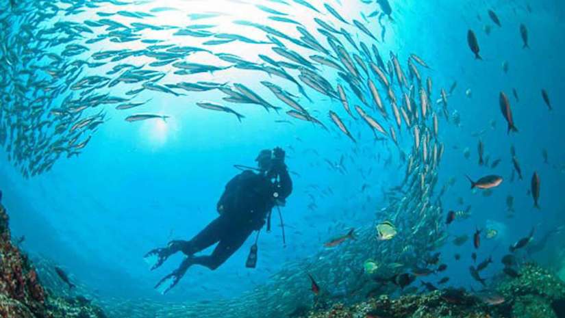 Underwater Photography Composition tips