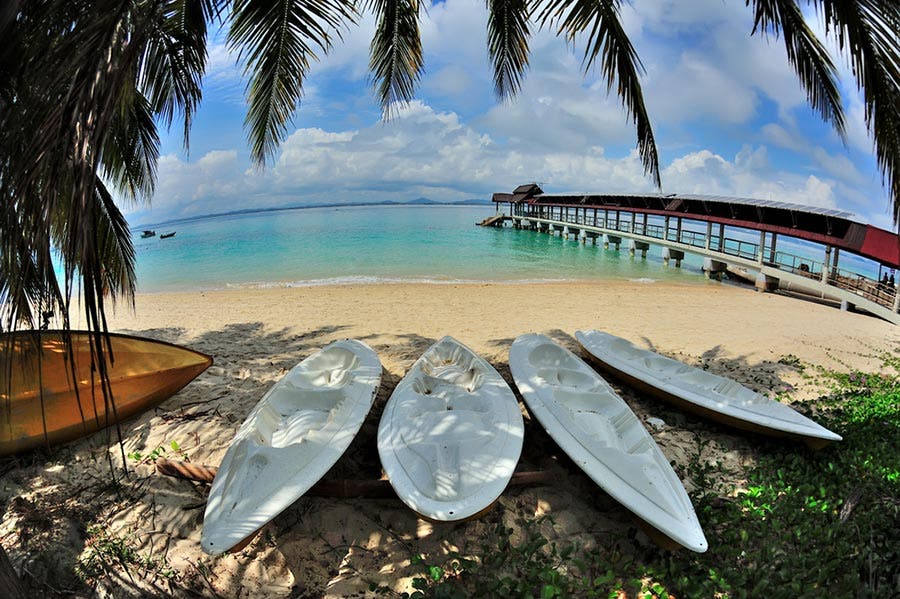 fisheye lens shot of beach and surfboards on the sand