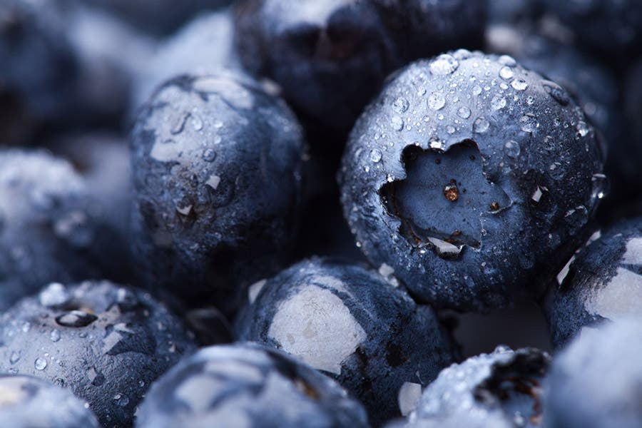 macro lens shot of blueberries