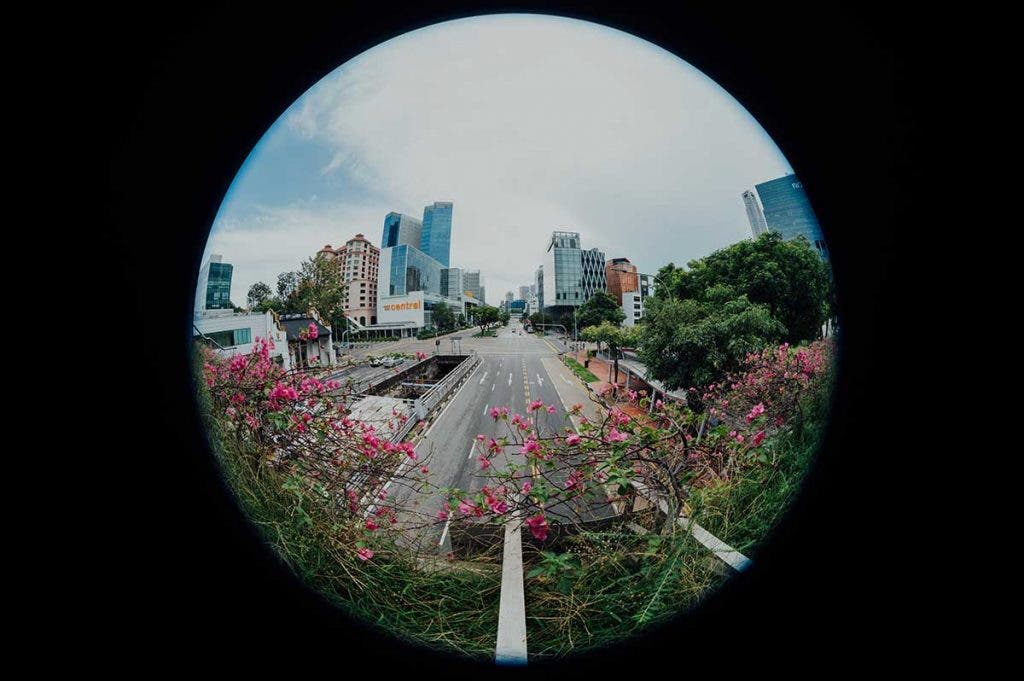 circular fisheye lens outdoor photography street and flowers