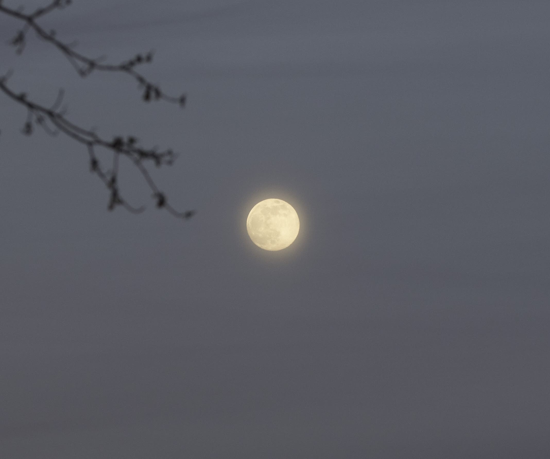 ISO 200, 100mm, F/1.4, 1/125 sec