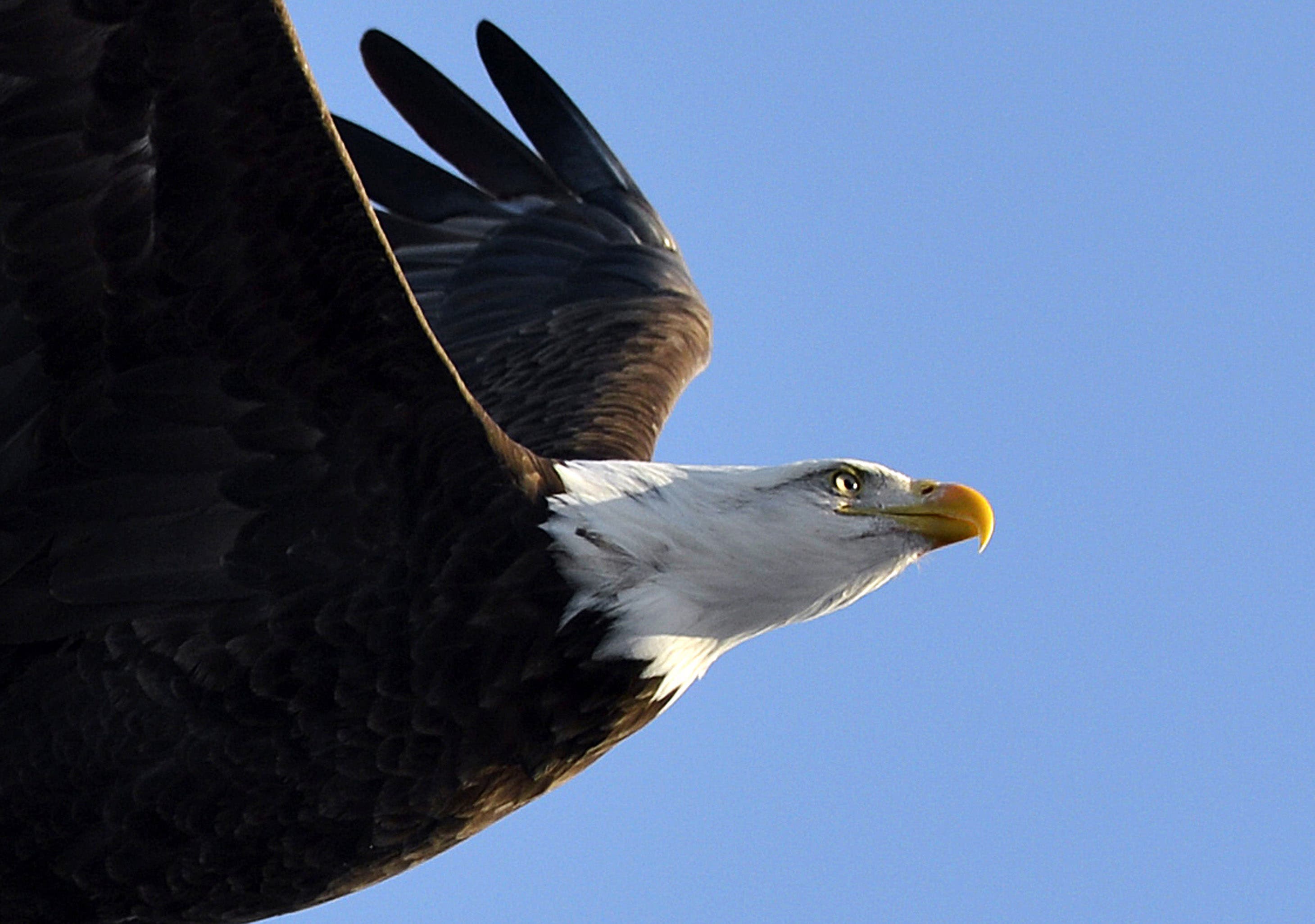 KEEP IN FLIGHT © Photography from personal collection of John H. White, Pulitzer Prize Photographer