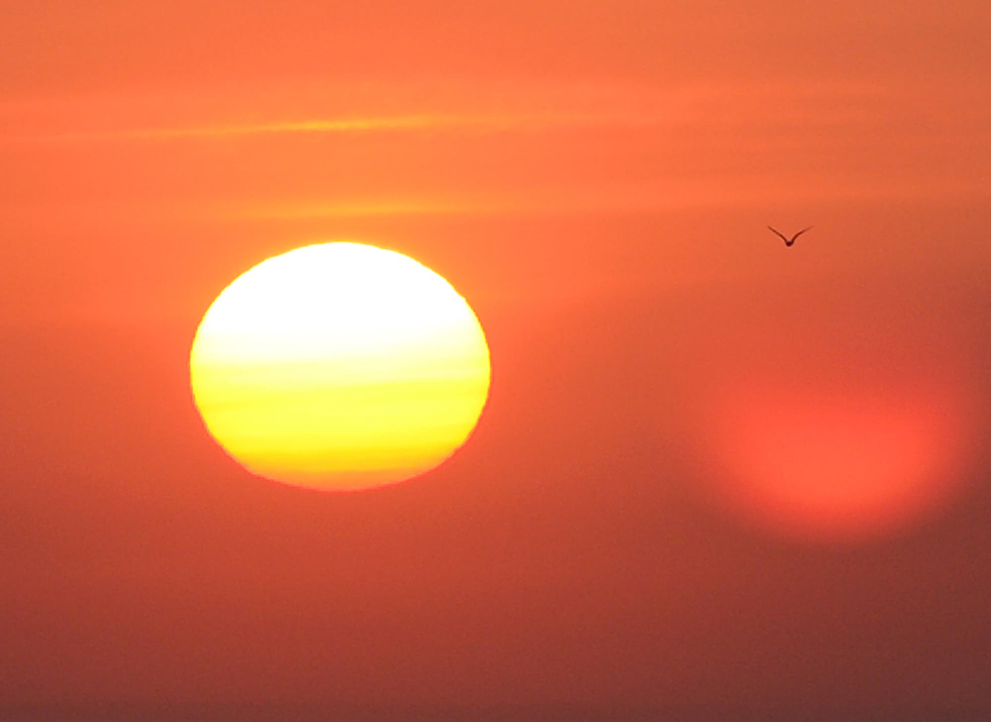 Quiet with a loud beautiful sunrise and a bird in flight, a symbol of the arriving birth of baby Adelaide. ©Photography from personal collection of John H. White, Pulitzer Prize Photographer