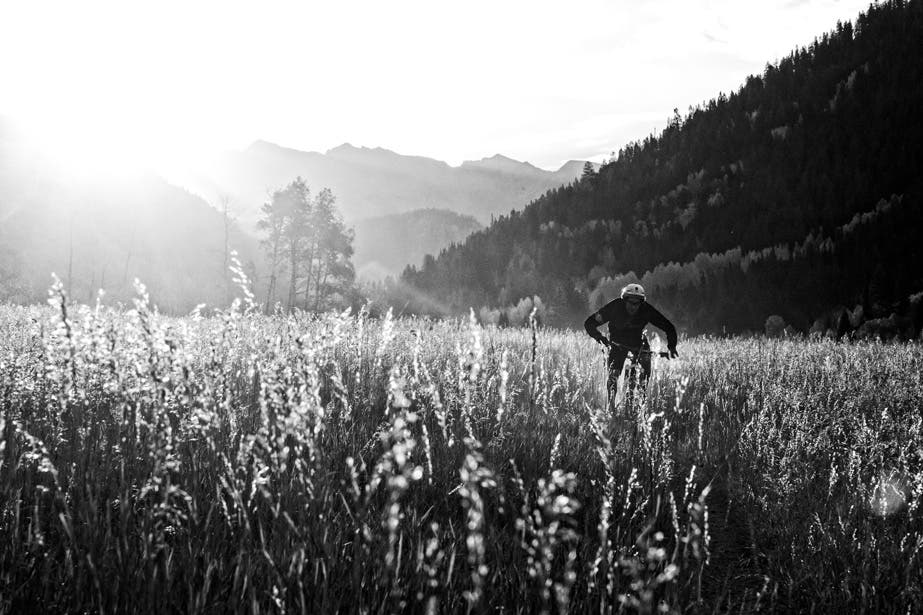 Photo by Liam Doran