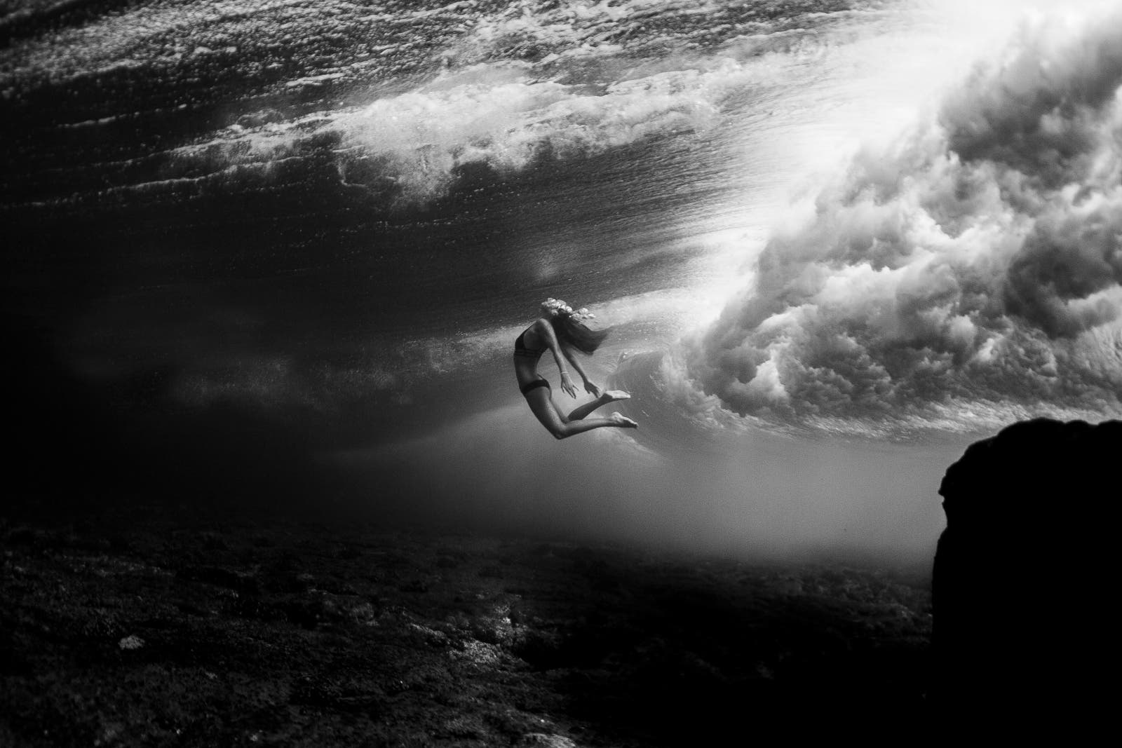 photo by Sarah Lee