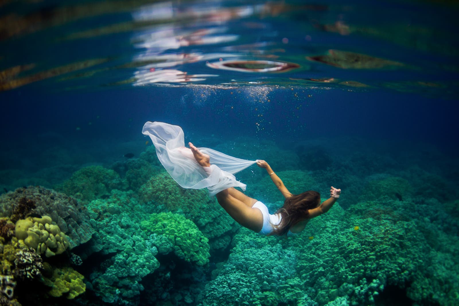 photo by Sarah Lee