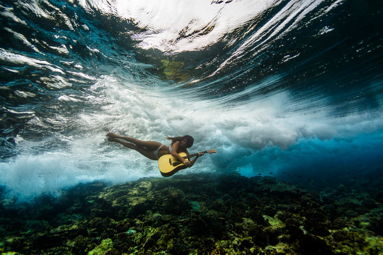 photo by Sarah Lee