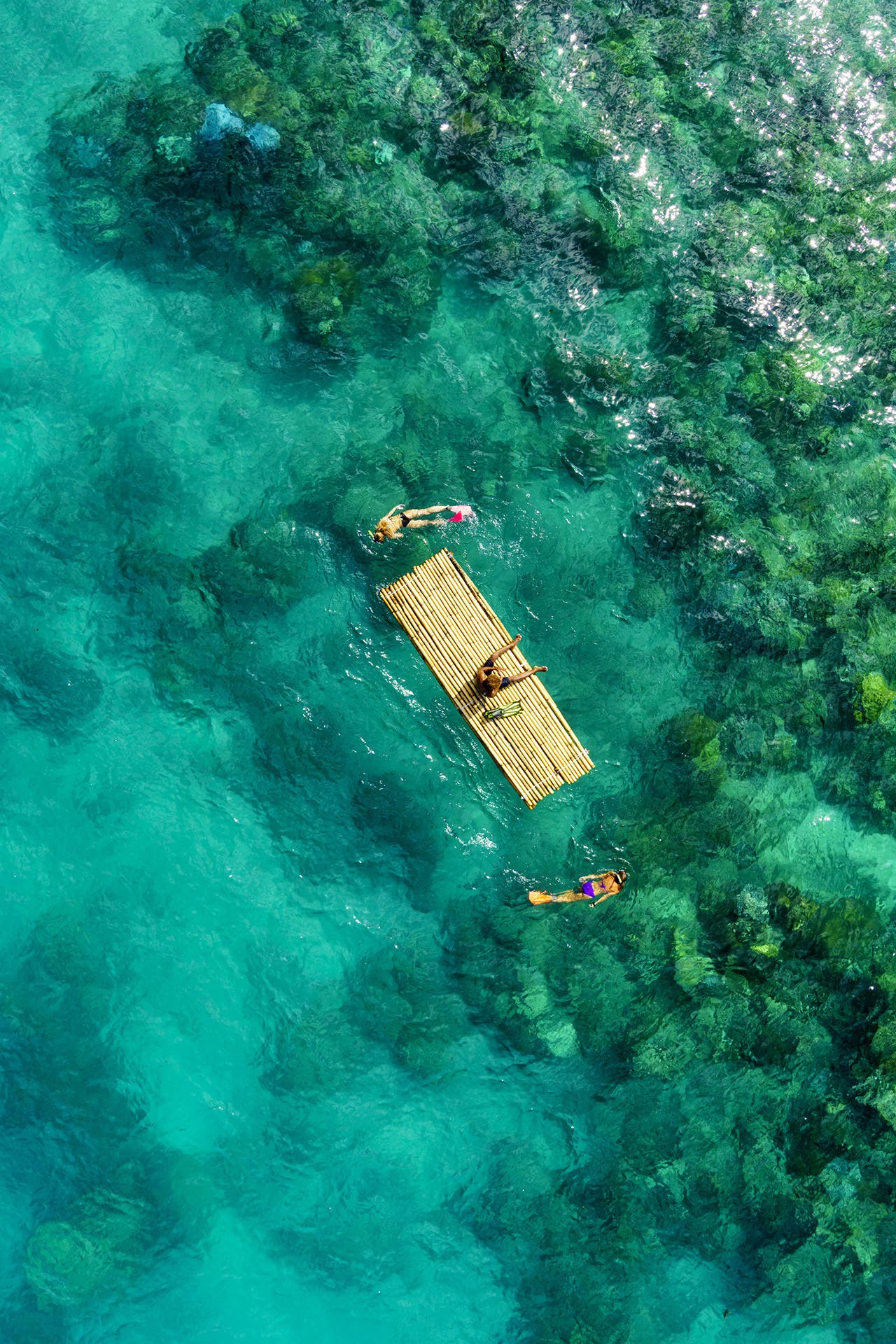 Snorkeling the crystal clear waters of Fiji.
