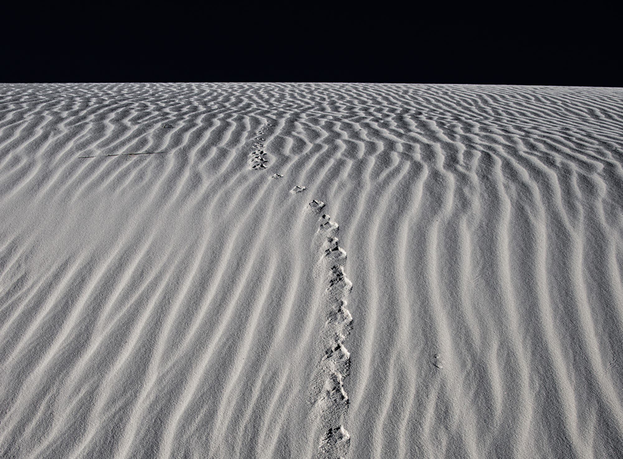 For this shot taken in White Sands National Monument, I was using the workings of nature -- the ripples on the dune, the insect trail and a cloudless sky -- to create a very abstract composition. A small aperture of f/16 gave me the sharpness I needed to render the surface textures. Then in after-capture, I stripped out the color, for an even starker, black-and-white abstract image.