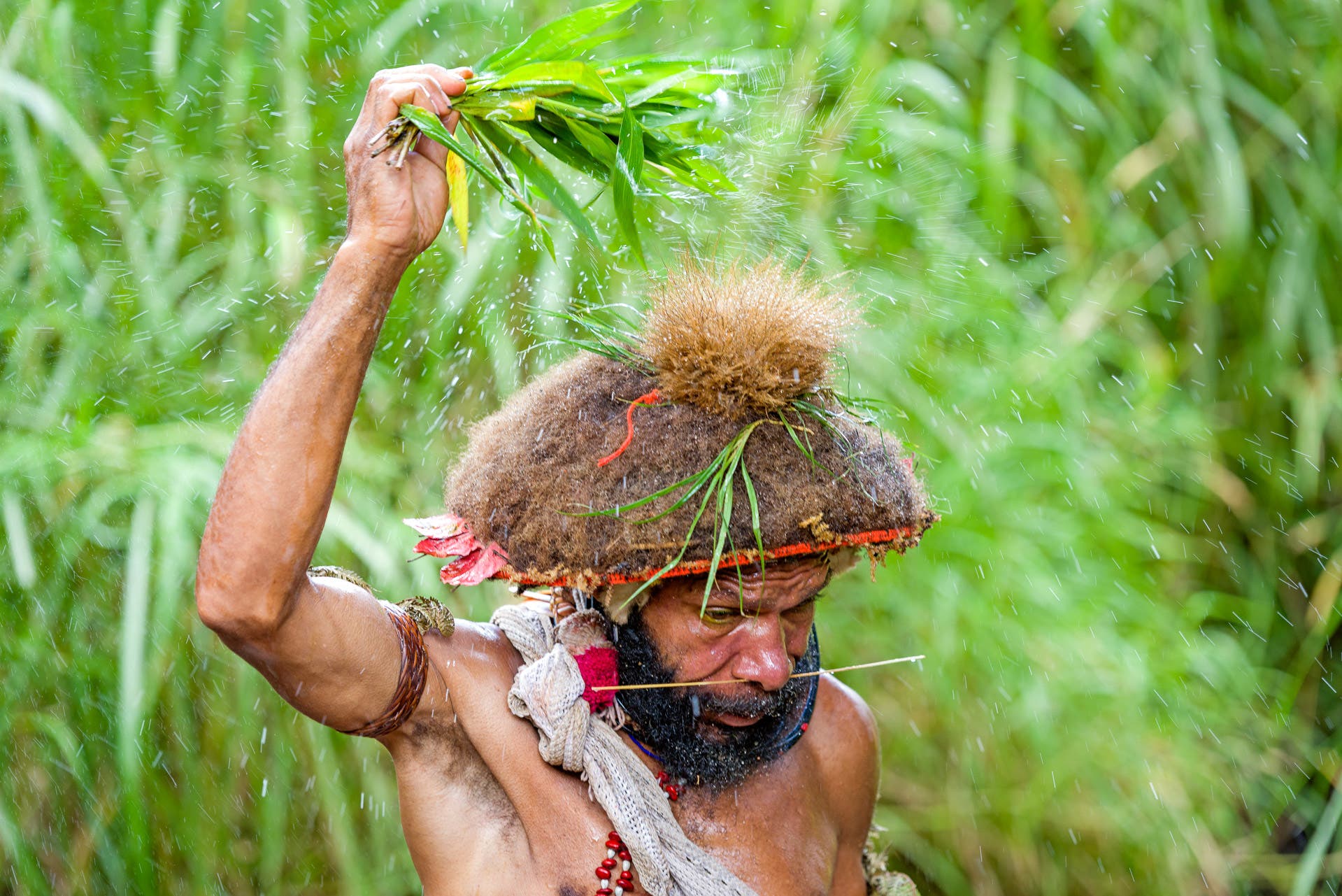 Huli wigmen, Lira wig school, Tari highlands, PNG