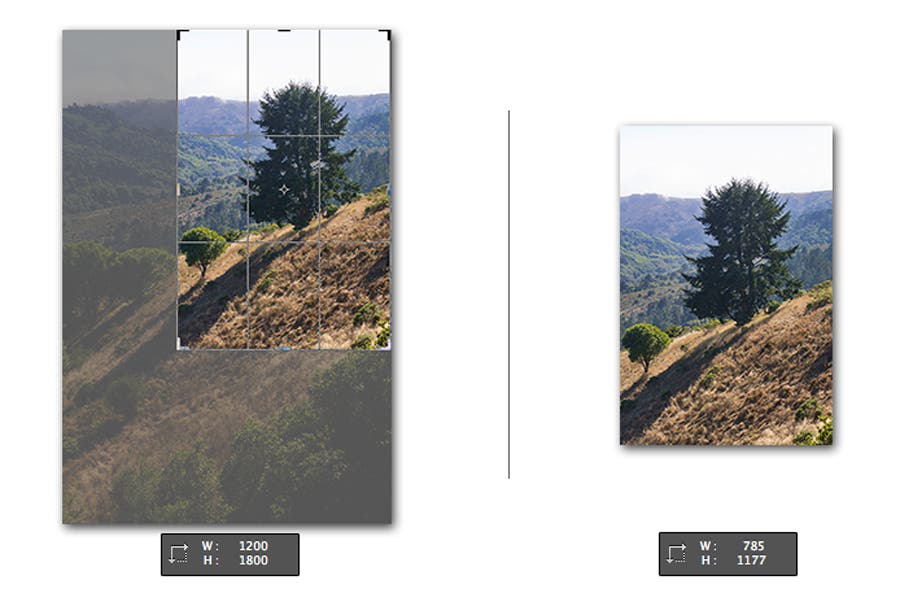 cropping process using Photoshop