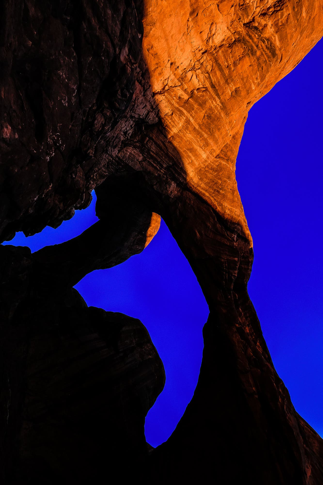 10-24mm @ 10mm; f/8; 1/600 sec; ISO 400