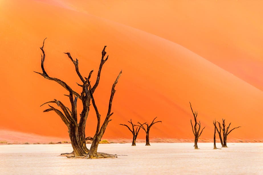 Deadvlei, Namibia. It is hard for New Zealander’s to get a true feel for Africa, a continent over 100 times larger than our own and responsible for 15% of the world’s population – half of which are under the age of 20 and many living in the grip of poverty. But in many ways it also still retains all the magic of Disney’s “Lion King” with vast open savannahs, a myriad of wildlife and proud native peoples. It is believed to be the oldest inhabited territory on earth with remains dating back 7 million years. Which makes the 900 year old tree “skeletons” in this photo – formed when the river flooded to create this clay pan in which the trees grew only to die following severe drought – simply infantile in comparison.