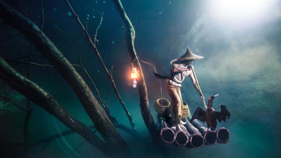 Cormorant Fisherman, 2015
