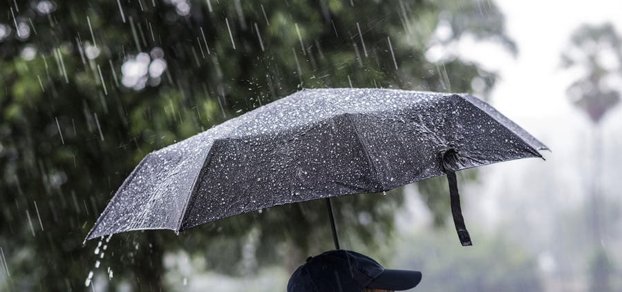 Person with umbrella under the rain