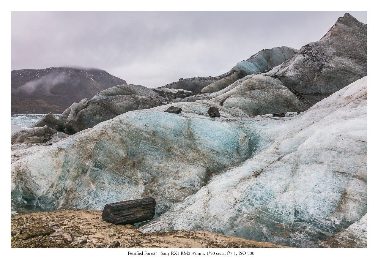 This glacier has been retreating in recent years so rapidly it is now disgorging large chunks of petrified wood that are thought to belong to a forest that might have grown here 60 million years ago. I climbed to the top of this glacier in heavy rains through knee deep mud to record the sound of water cascading through the belly of the glacier when I saw the trees. (Sony RX1RM2 35 mm), 1/50 sec at f/7.1 ISO 500