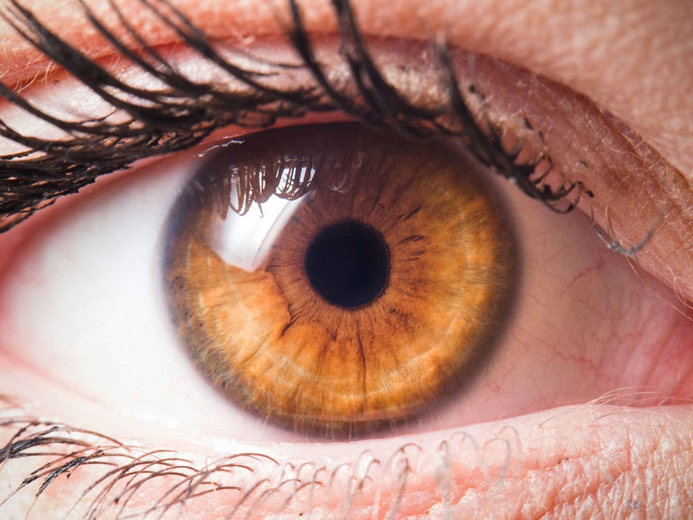 close-up of eye using macro lens