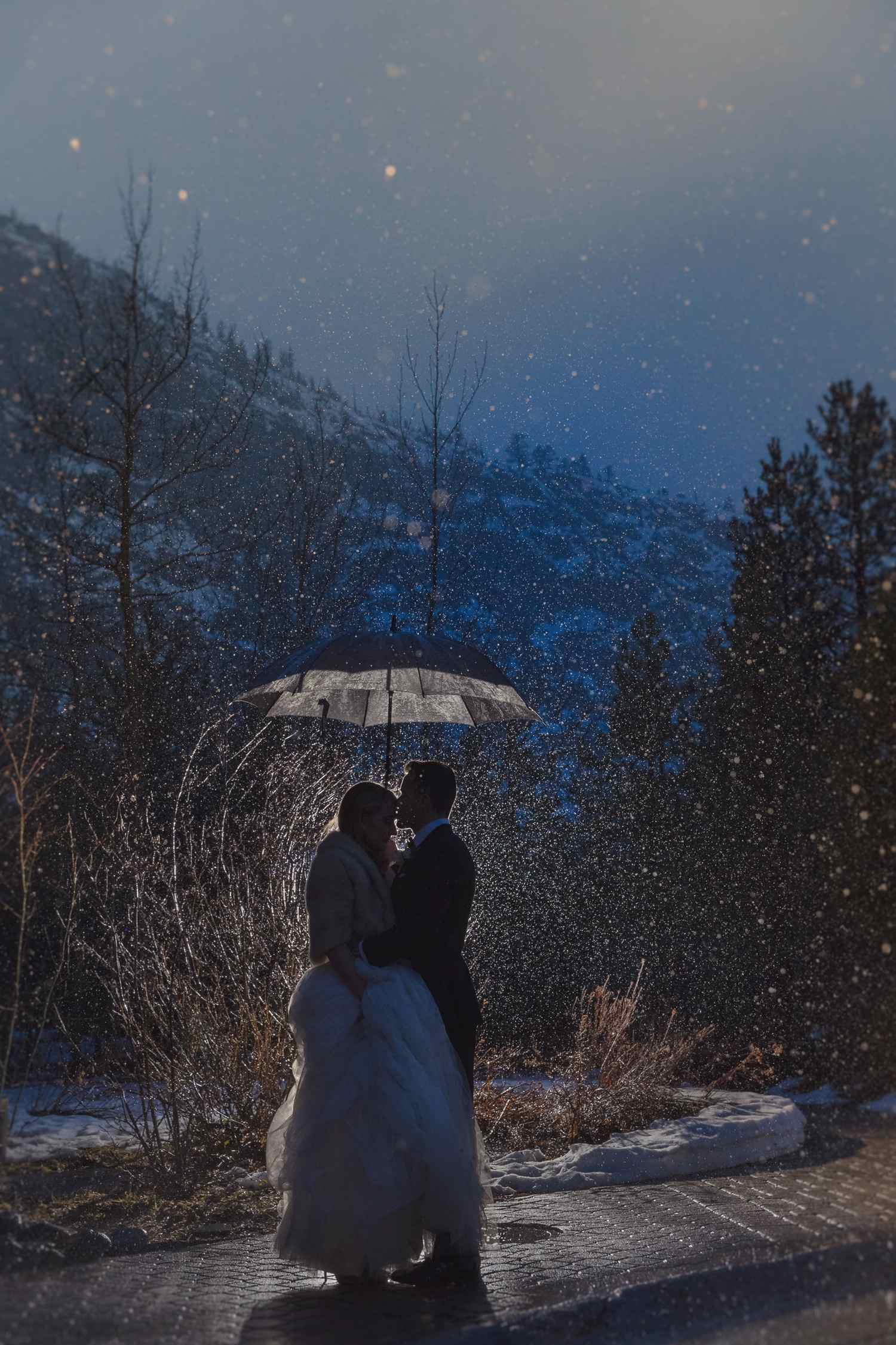 wedding photography vanessa joy pricing