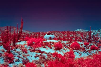 igloo at cactuses field infrared photography
