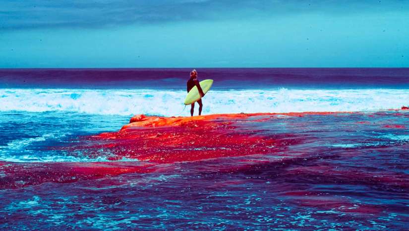 exploring in baja infrared photography