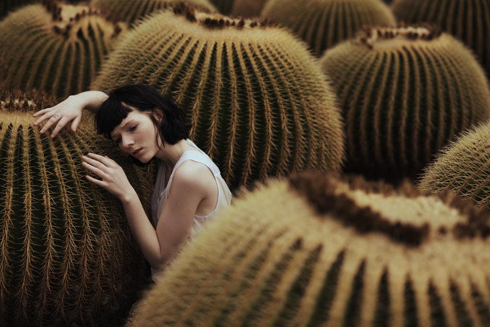 feminine beauty in cactus field