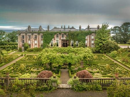 geometric garden medium format photography