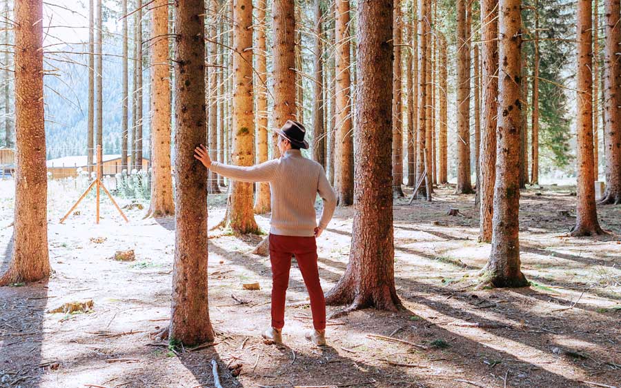 model standing in a forest photography