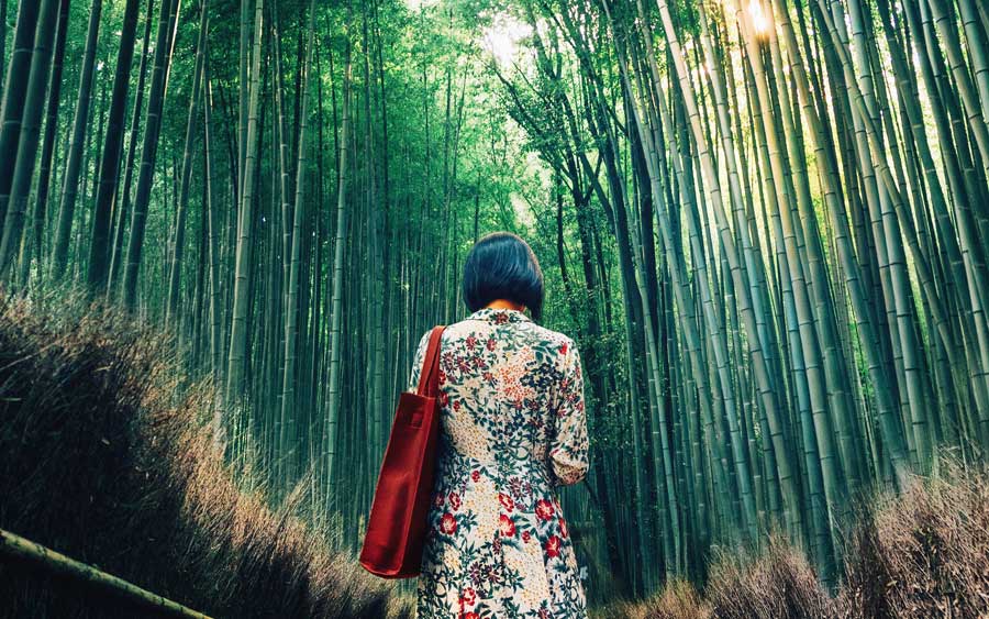 female in a bamboo forest in japan travel photography