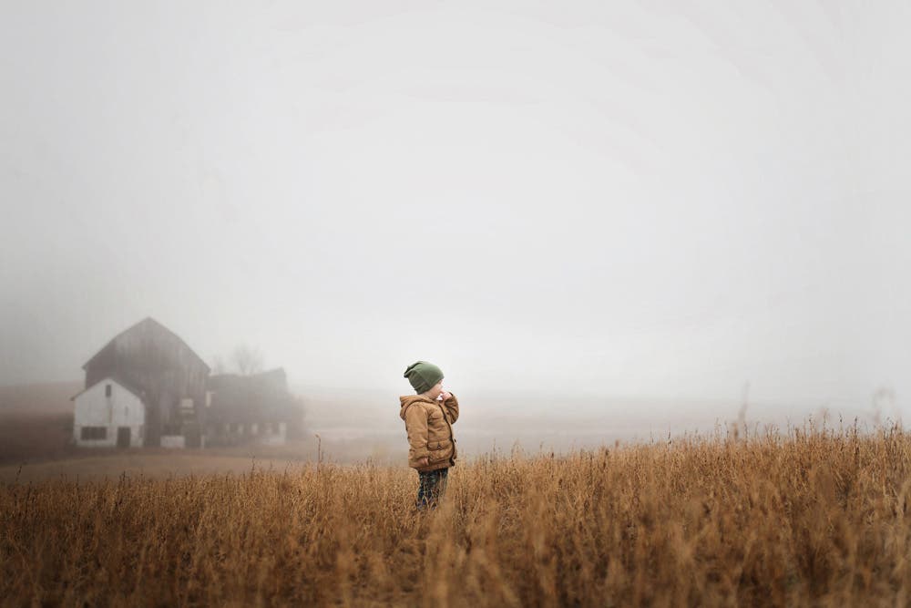 young boy standing in the field on a foggy day