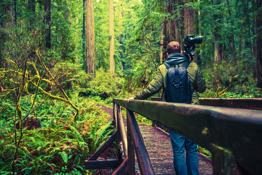 A photographer standing on a bridge in the forest