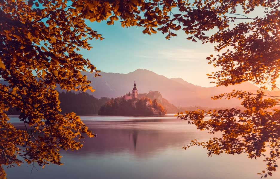 Tree leaves framing little island with church