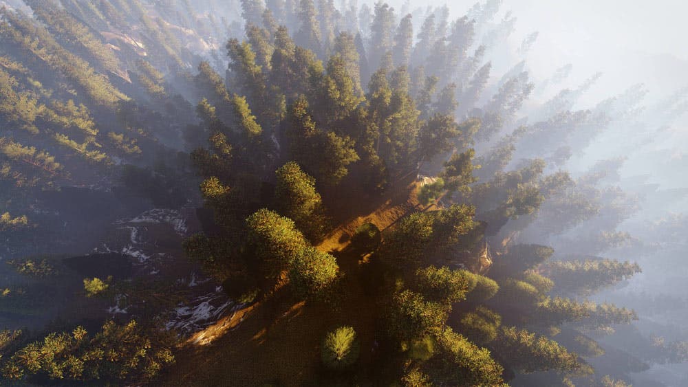 drone photography top view of forest with fog