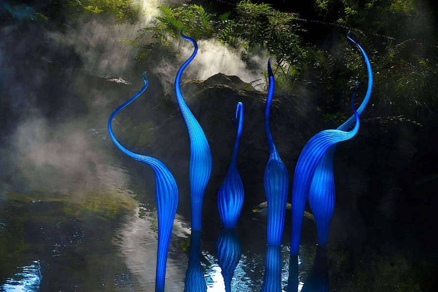 chihuly exhibition at dallas botanical garden