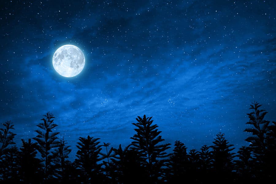 Landscape shot of moon and silhouetted trees