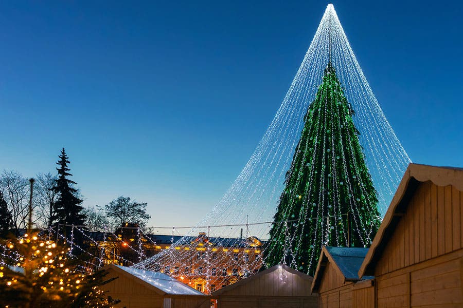 giant christmas tree with lights shot during dusk