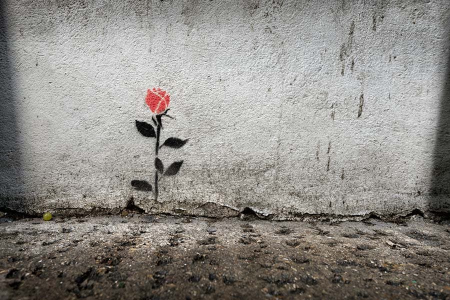 small rose graffiti on concrete wall