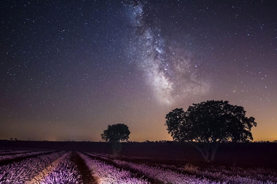 purple fields and starry sky astrophotography
