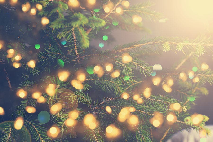 Christmas tree image with bokeh lights