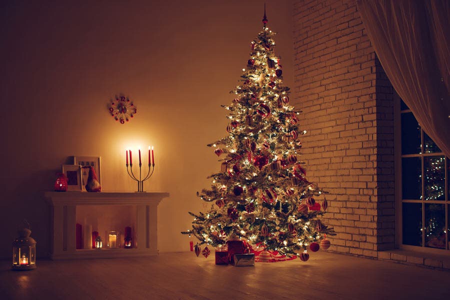 Christmas tree picture dim setting