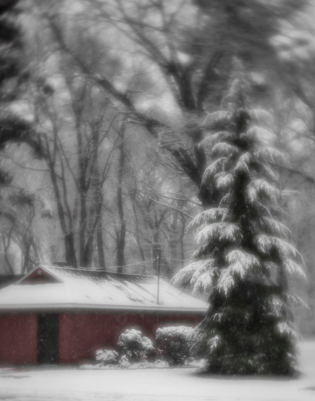 lensbaby velvet 56