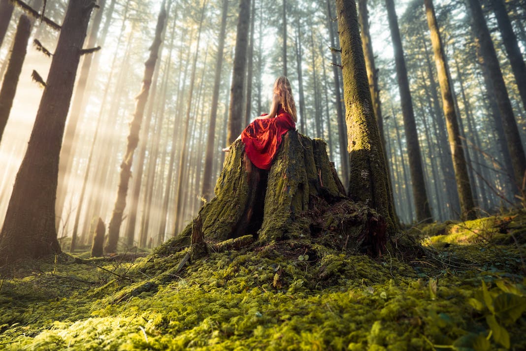 Elizabeth Gadd