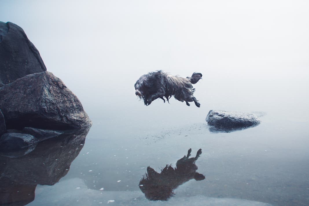 Elizabeth Gadd