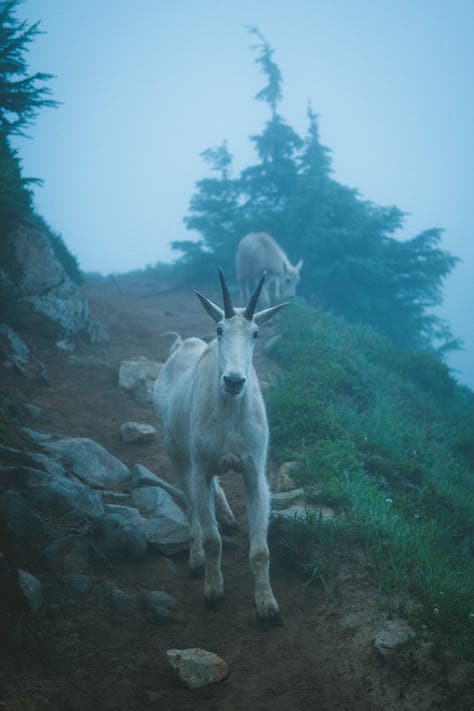 Photo by Nathan Lee Allen