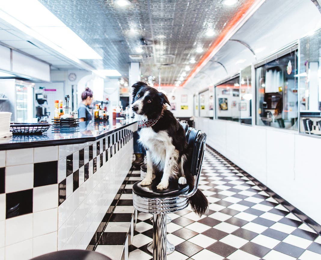 Photo by Andrew Knapp