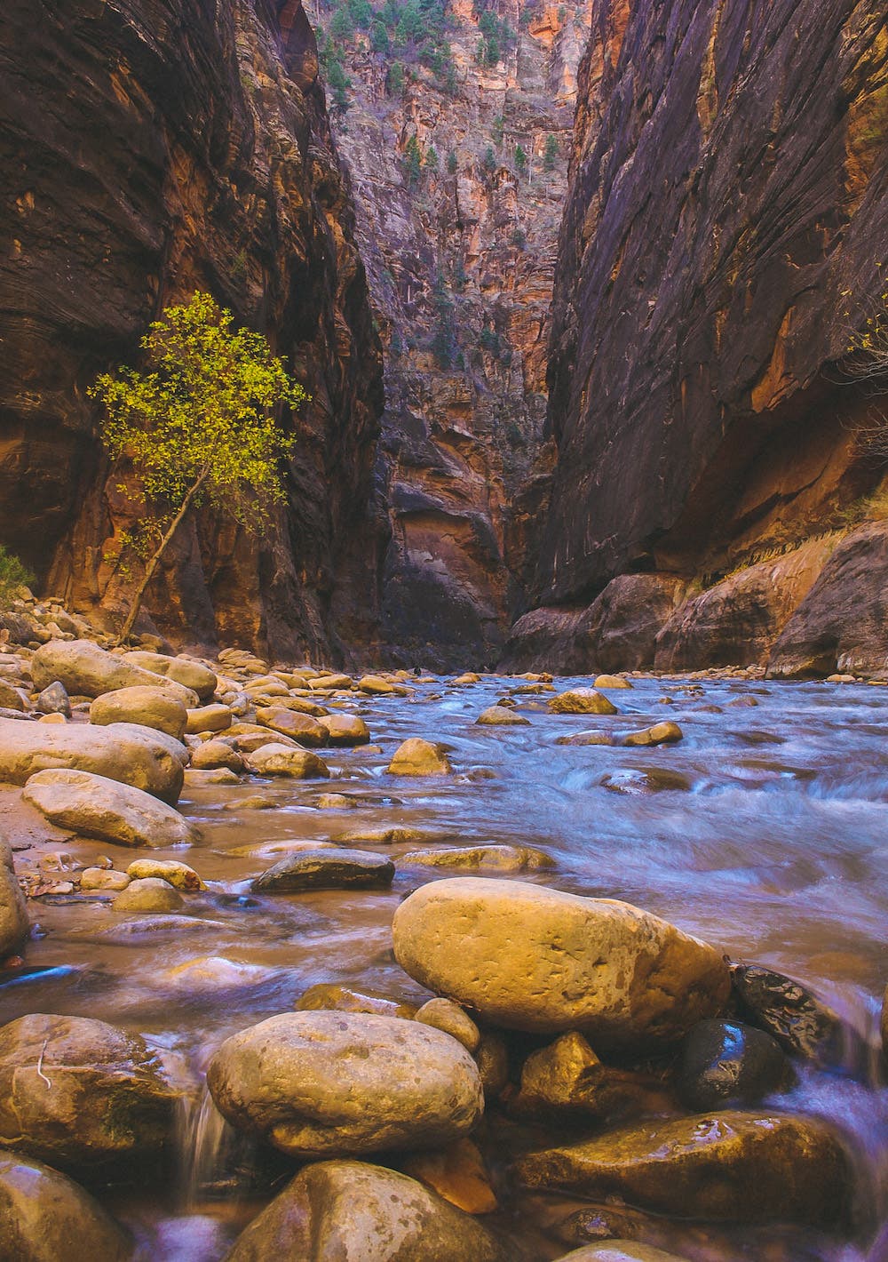zion national park narrows