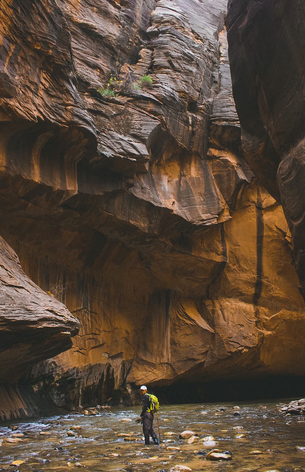 zion national park narrows