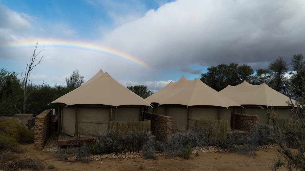 safari tent