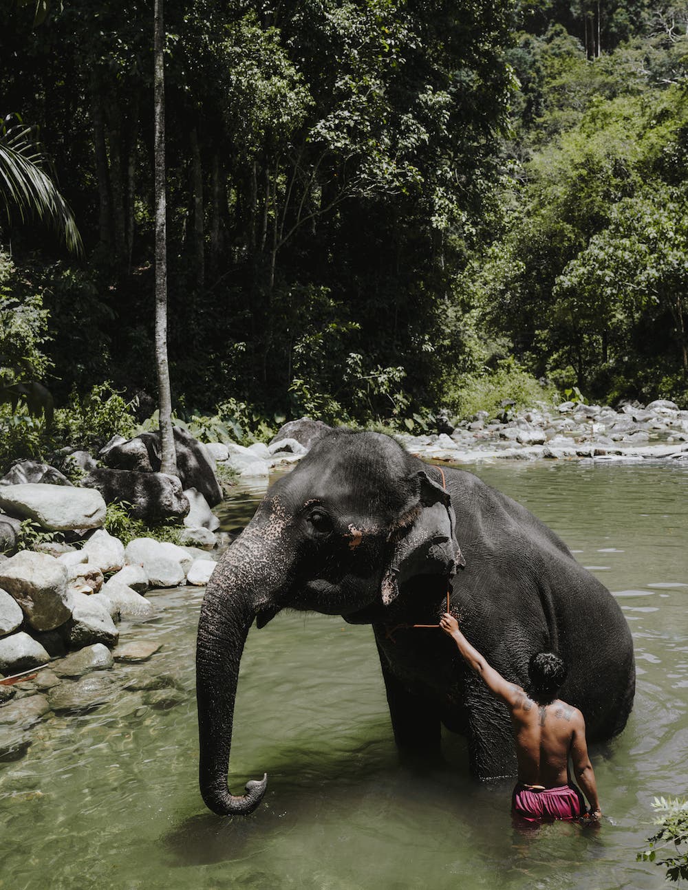 Songkran Thailand Jessica Foley