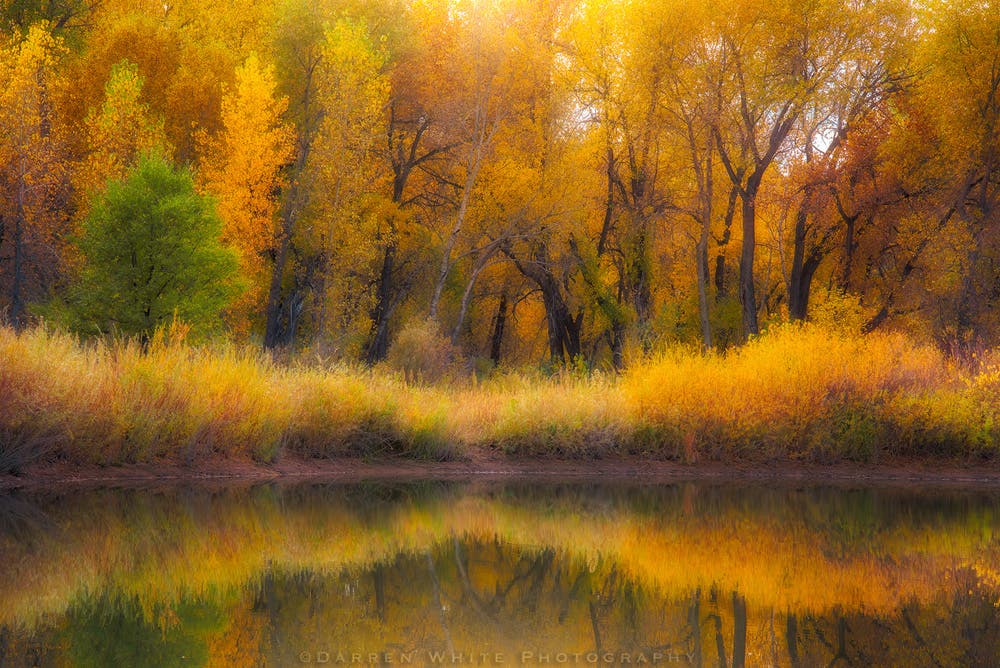 landscape photography Darren White